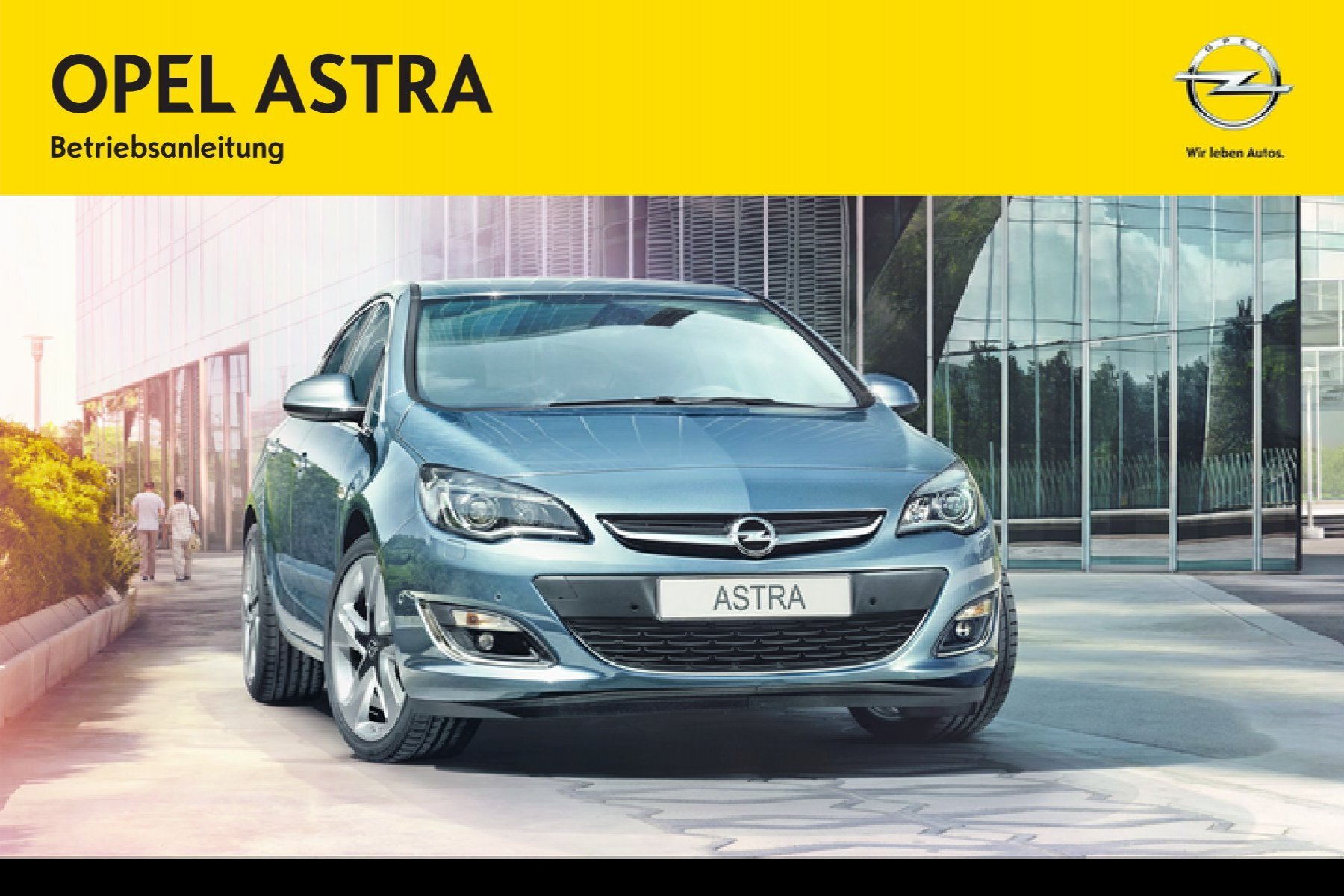 Opel Insignia: Kennzeichenleuchte - Glühlampen auswechseln -  Fahrzeugwartung - Opel Insignia Betriebsanleitung