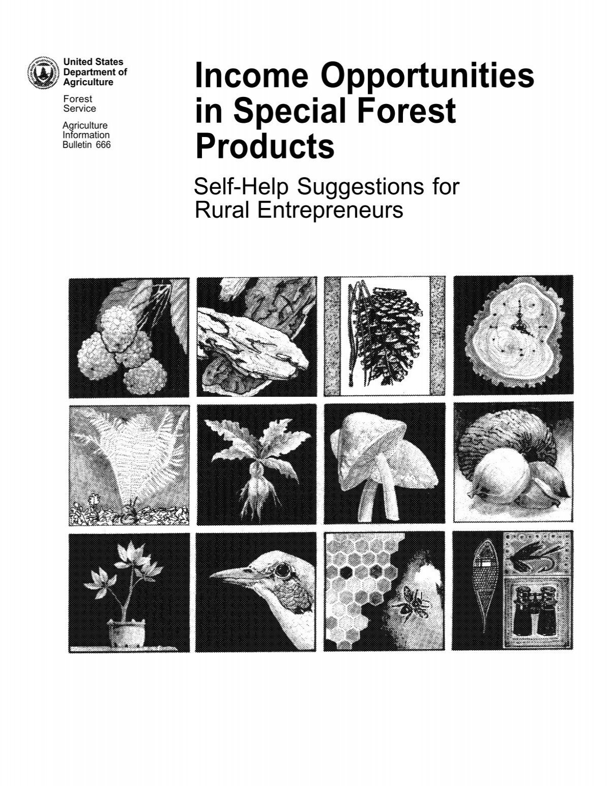 Income Opportunities In Special Forest Products Self Help