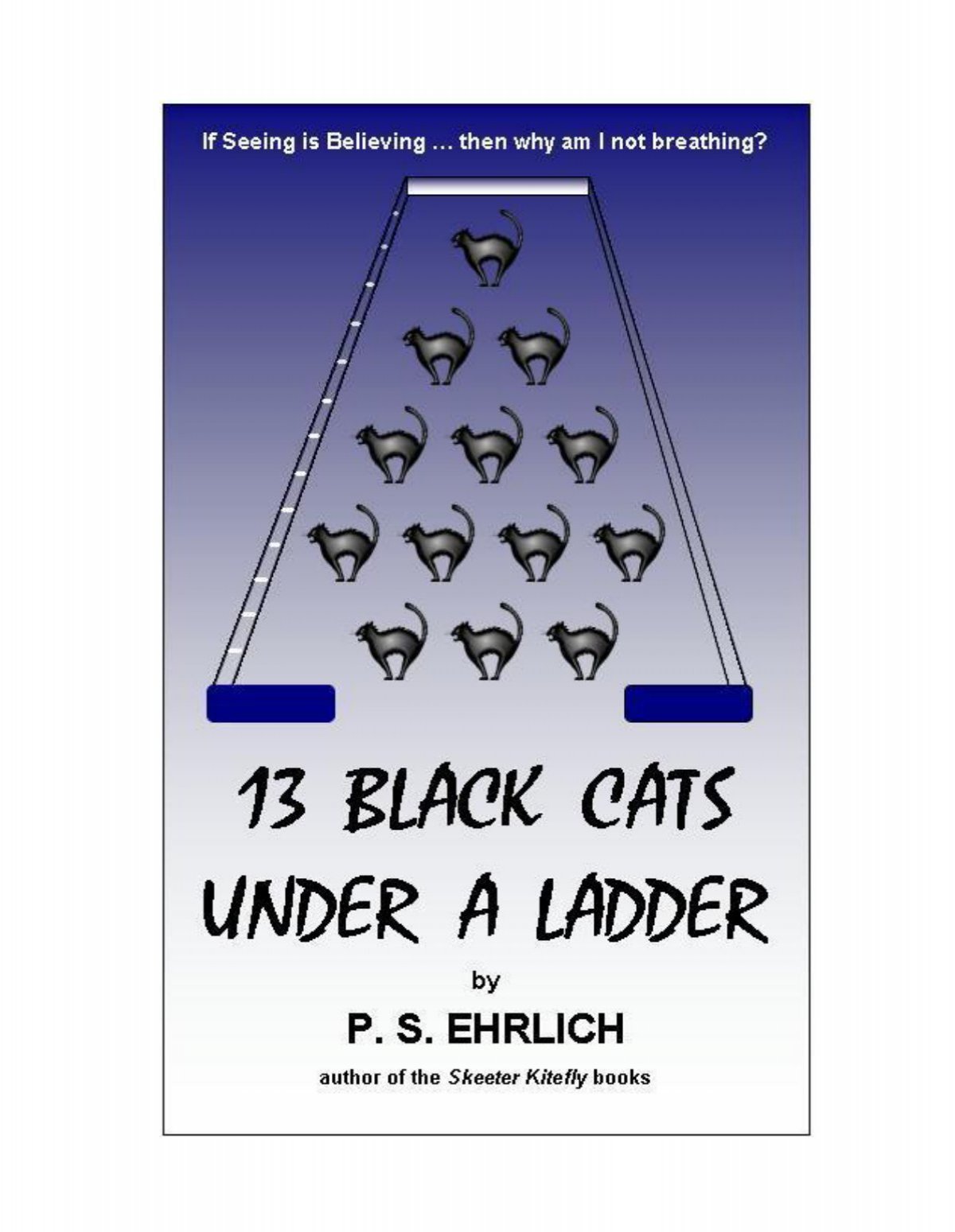 13 BLACK CATS UNDER A LADDER - Skeeter Kitefly Website's