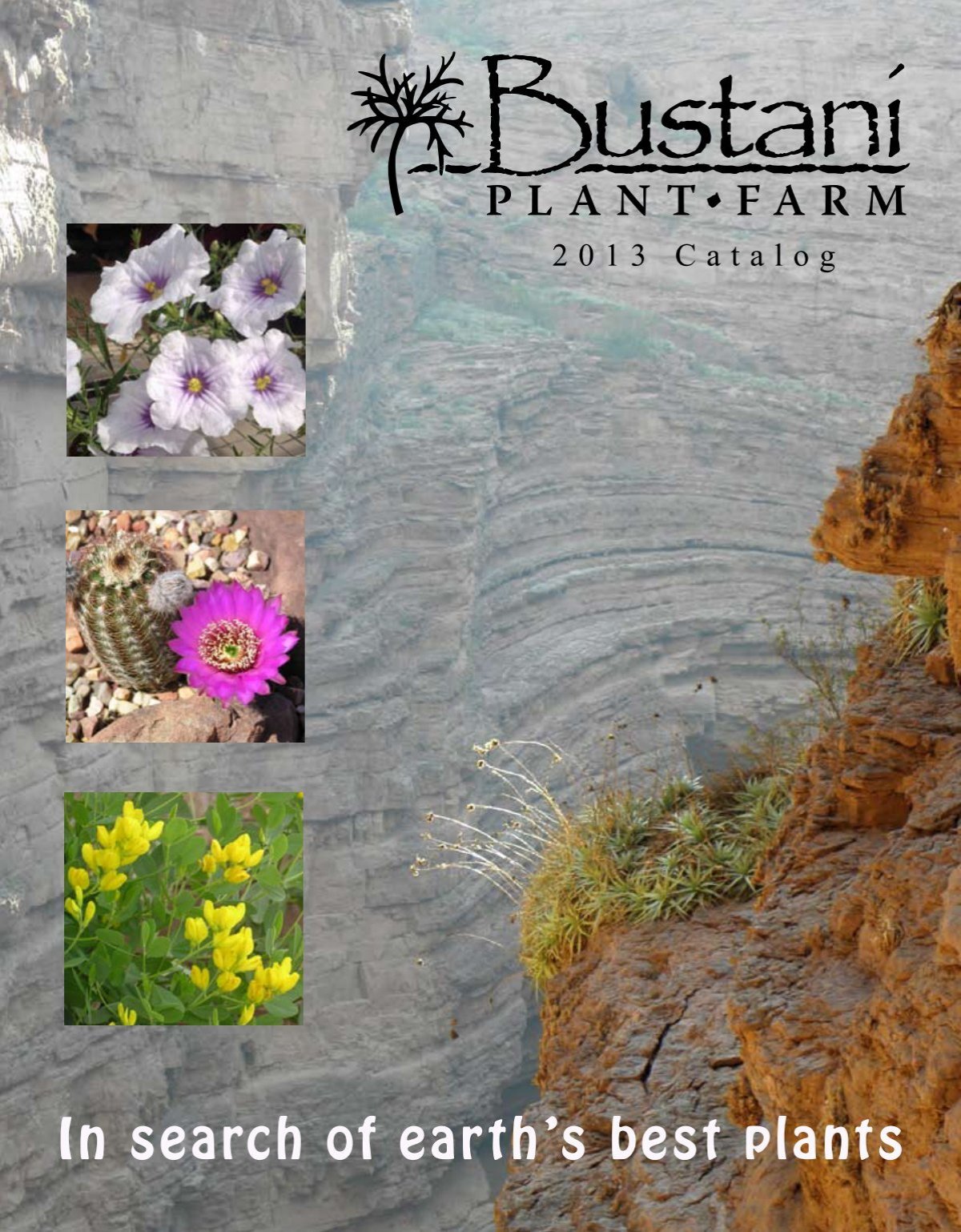 Download Catalog - Bustani Plant Farm