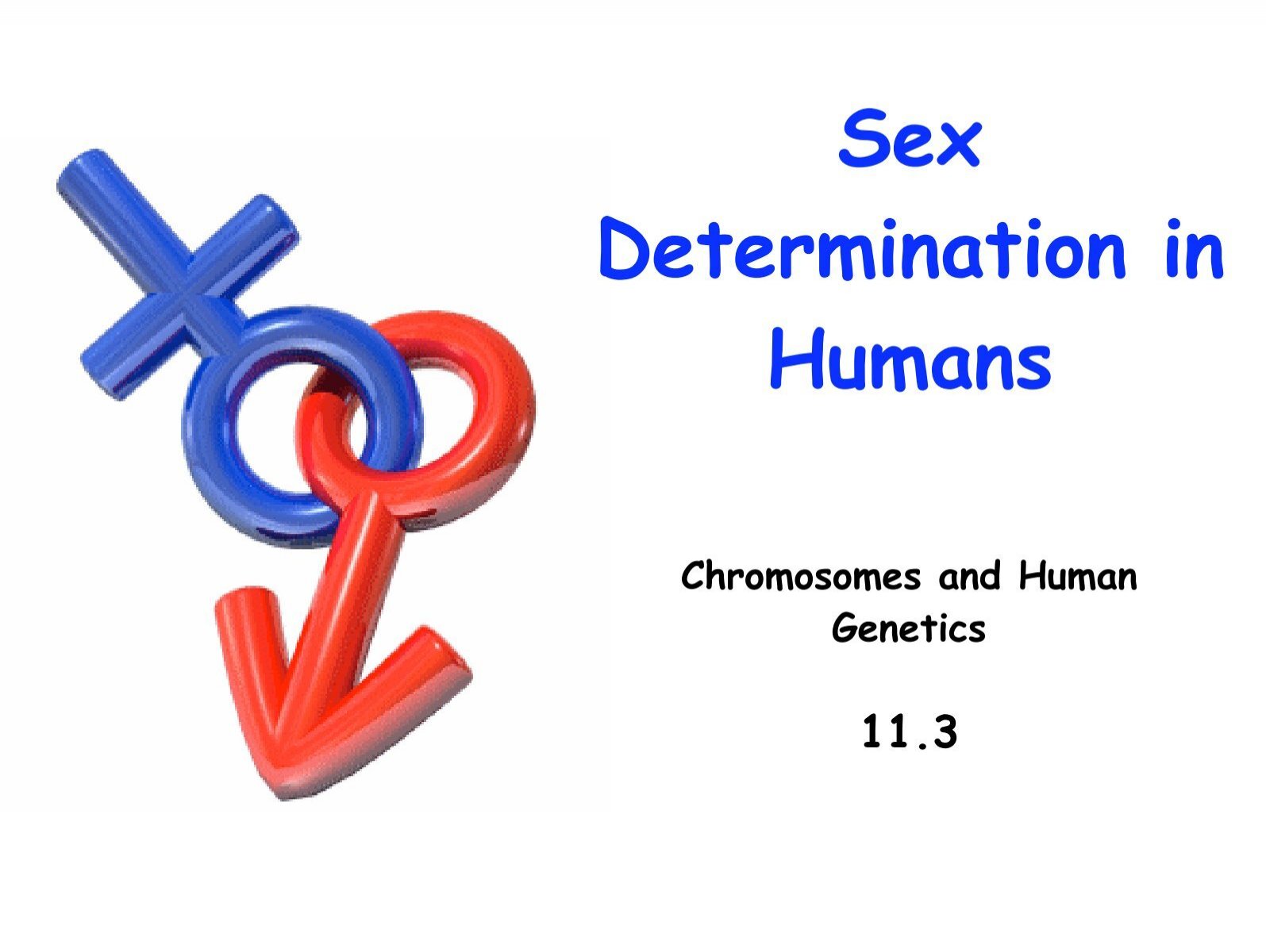 Sex Determination In Humans 1855