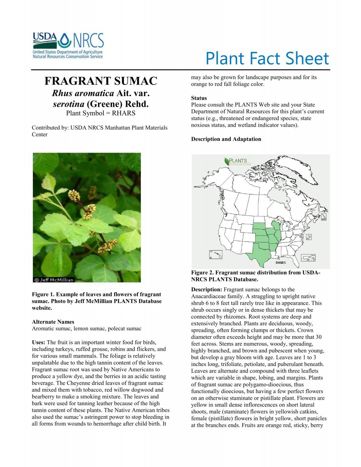 rhus-aromatica-plant-fact-sheet-usda-plants-database