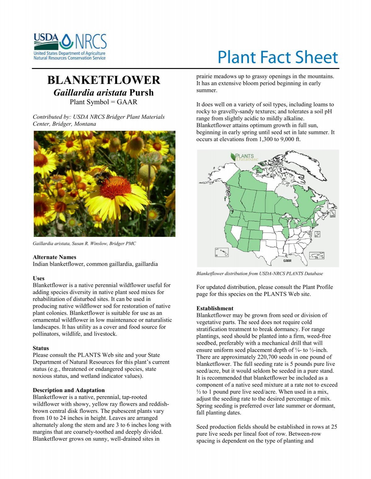 gaillardia-aristata-plant-fact-sheet-usda-plants-database