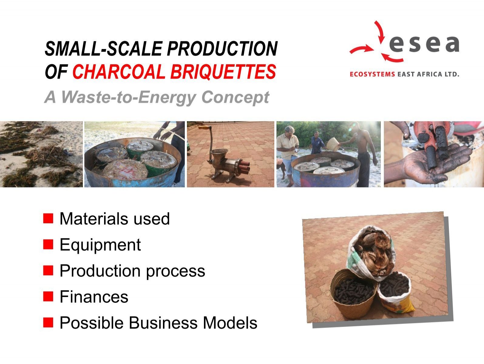 business plan of charcoal production