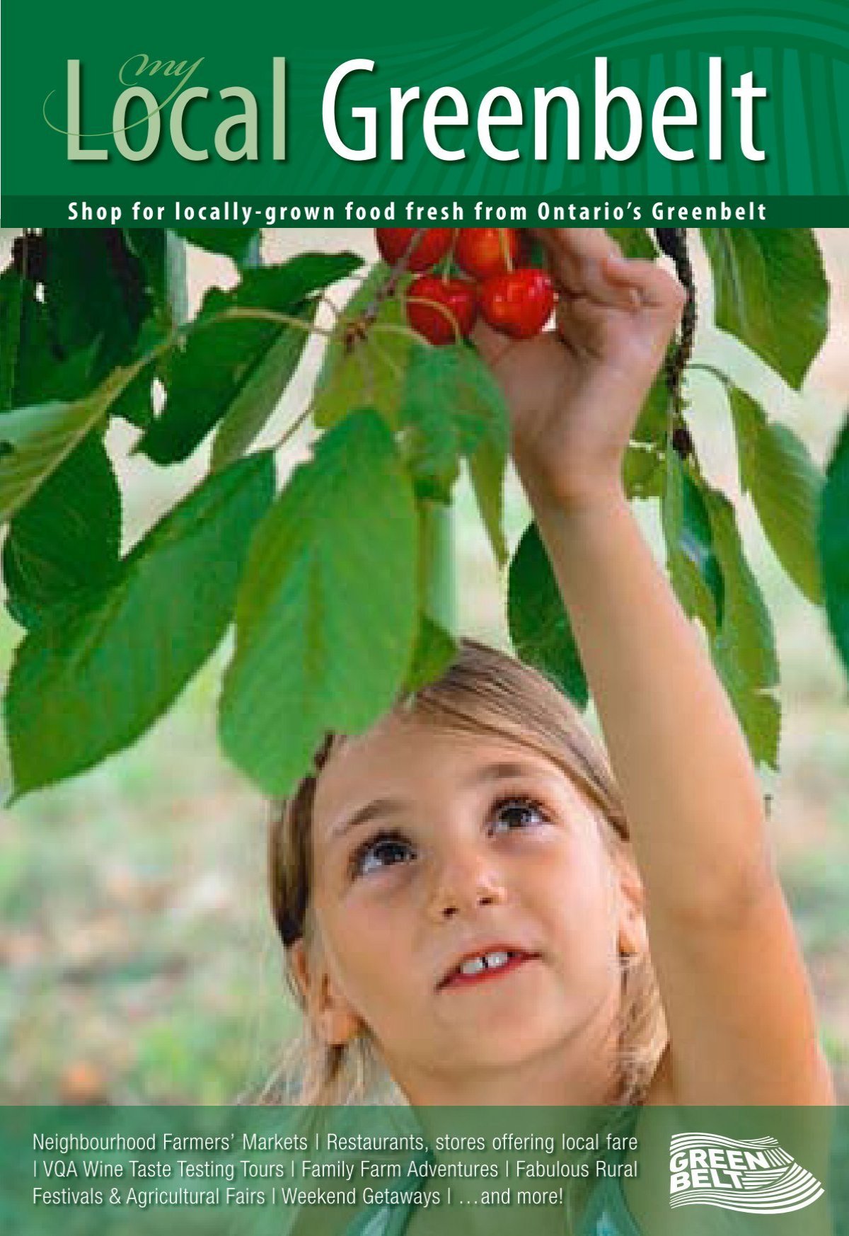 Crimson Cherry Rhubarb -Large Crown Division- Scenic Hill Farm Nursery