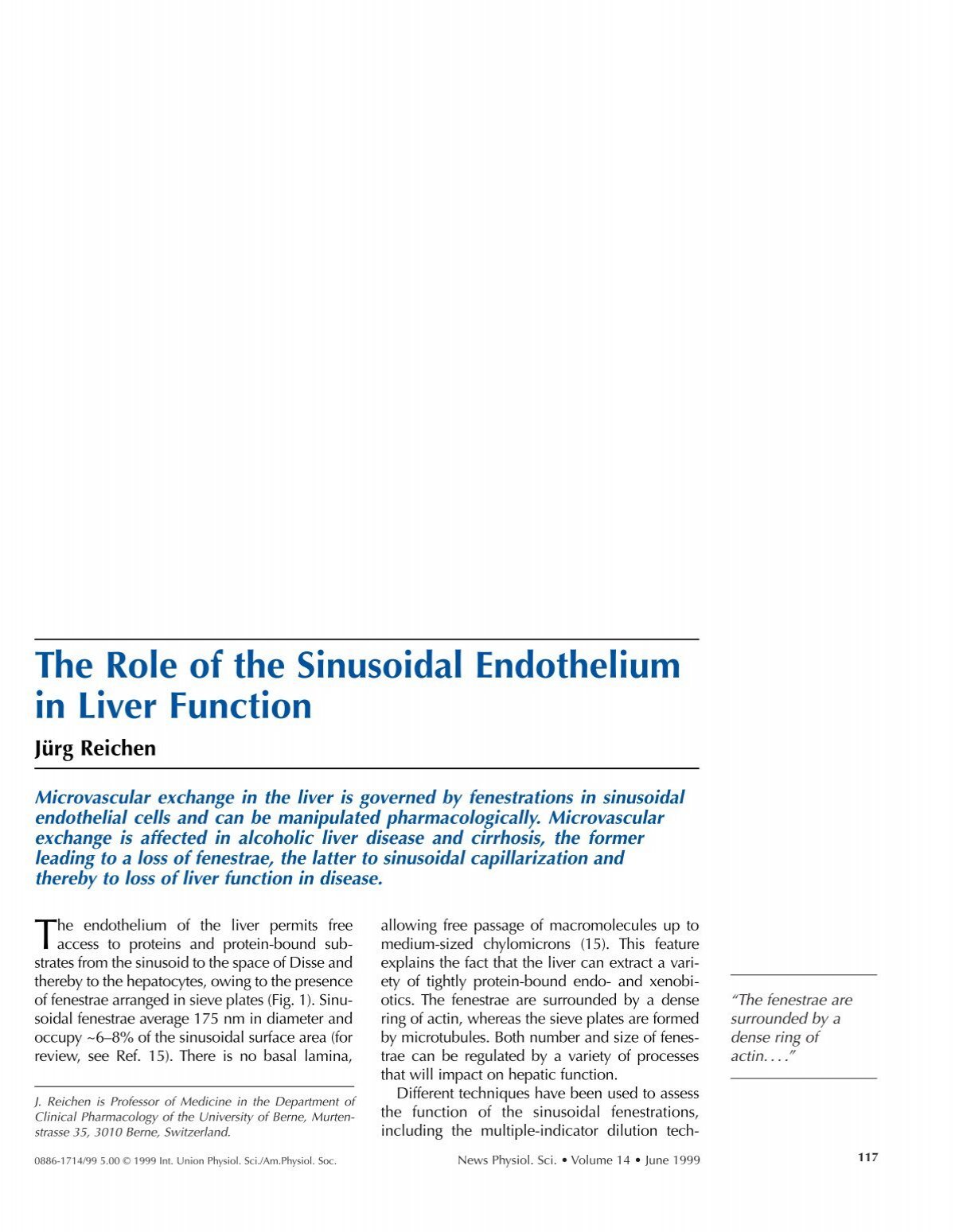 sinusoids of liver in function