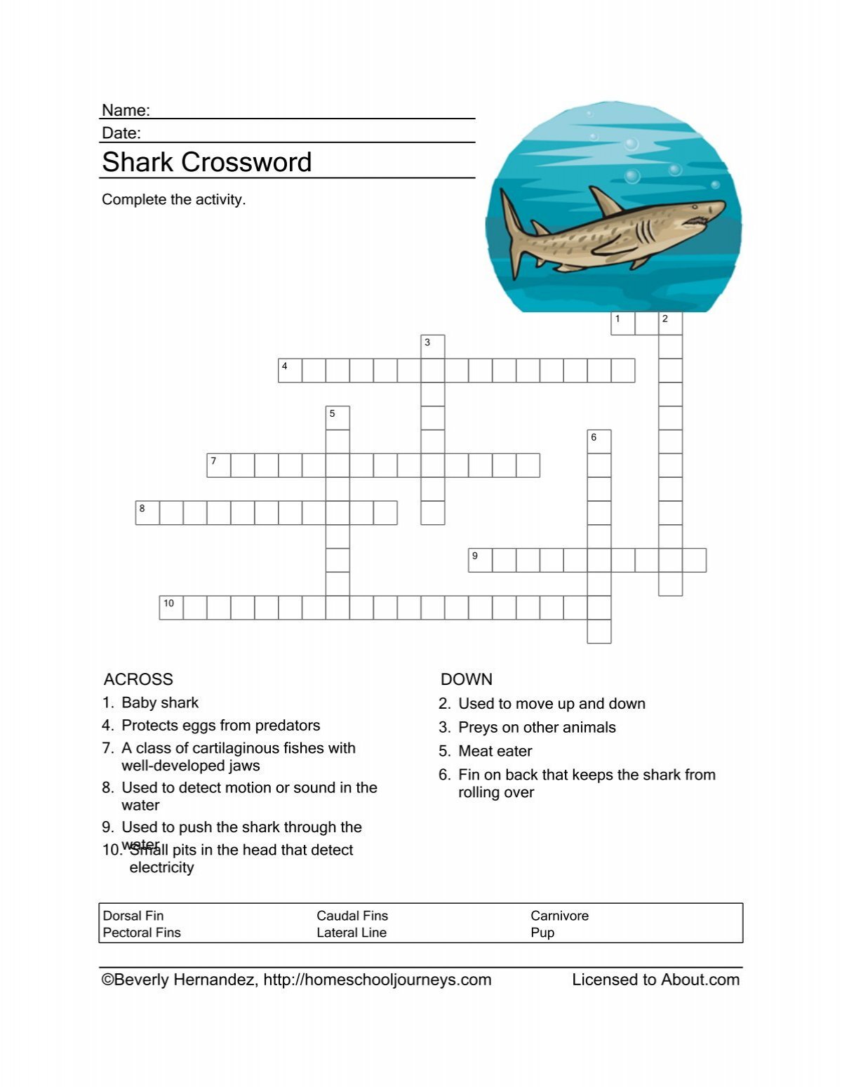 Shark Crossword Puzzle Homeschooling About com