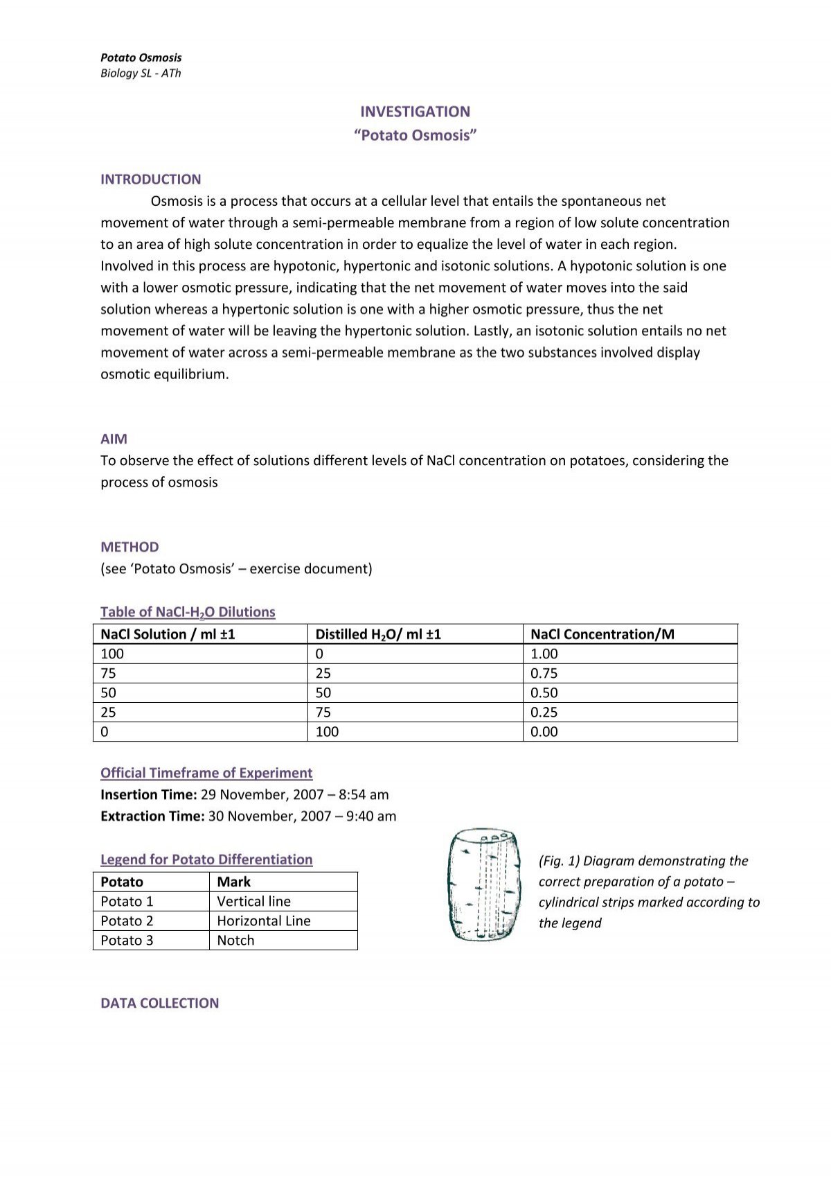 Sample Lab Report Potato Osmosis