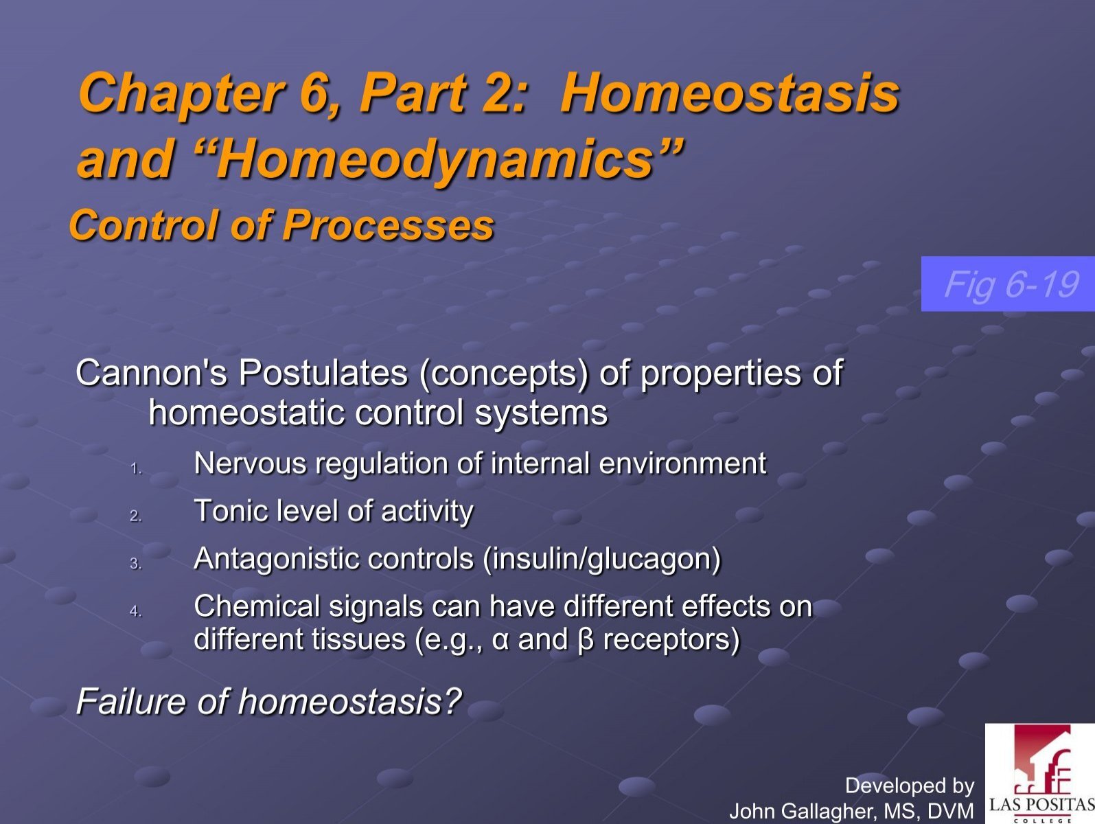 Chapter 6 Part 2 Homeostasis And A œhomeodynamicsa