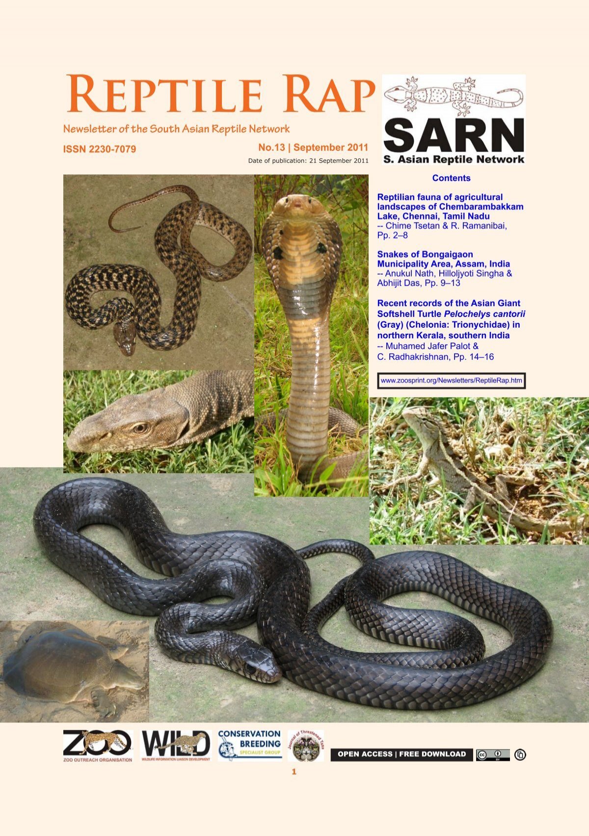 All About Cobra Snakes - Reptiles Magazine