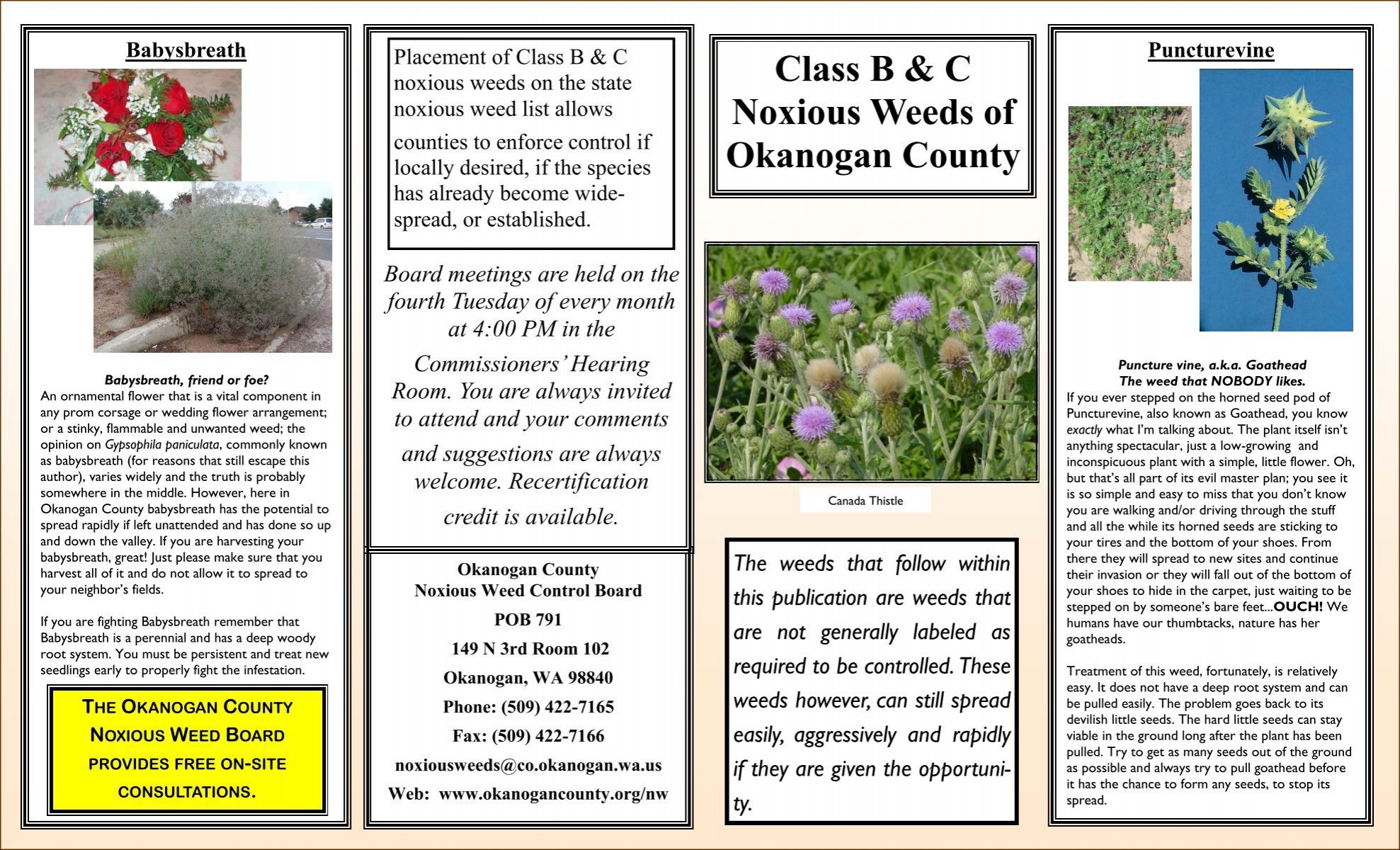 Class B C Noxious Weeds Of Okanogan County