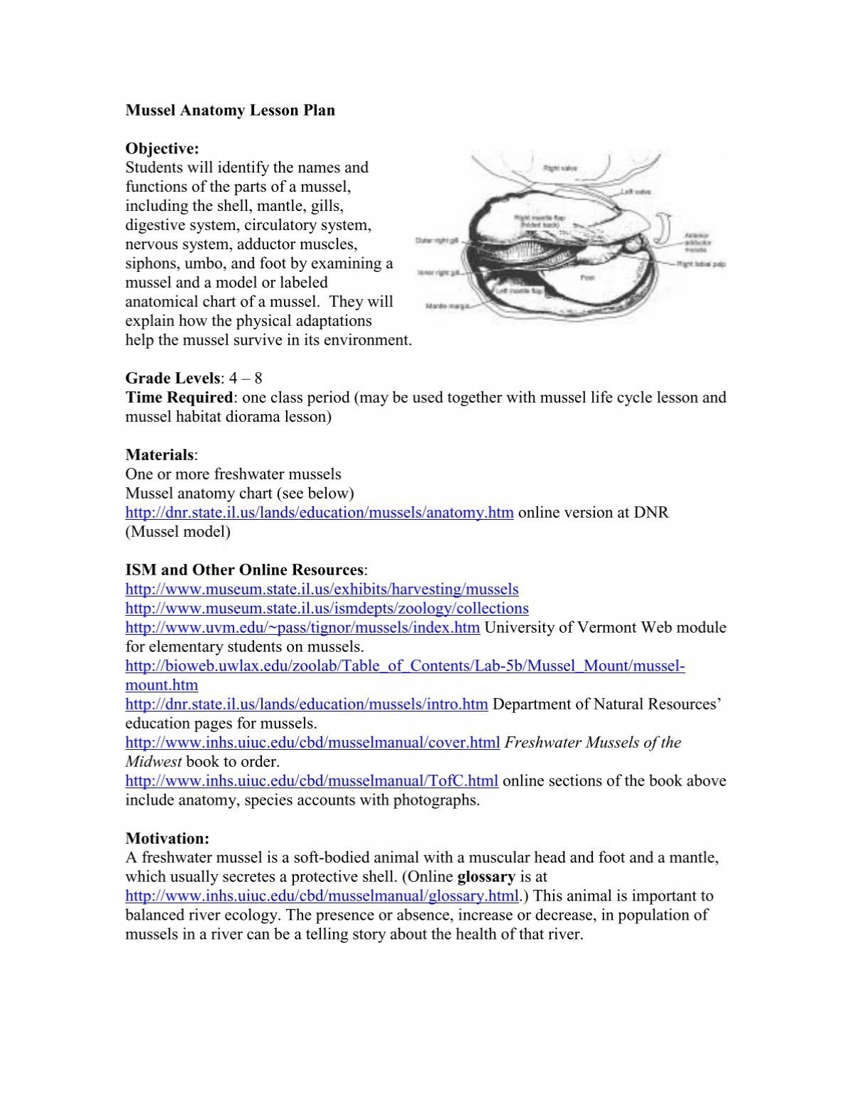 freshwater mussel anatomy