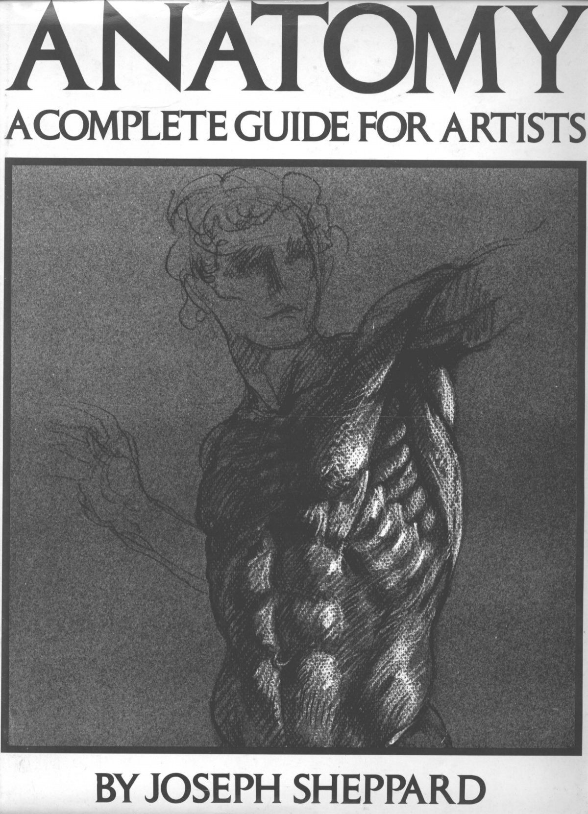 Joseph Sheppard Anatomy For Artists