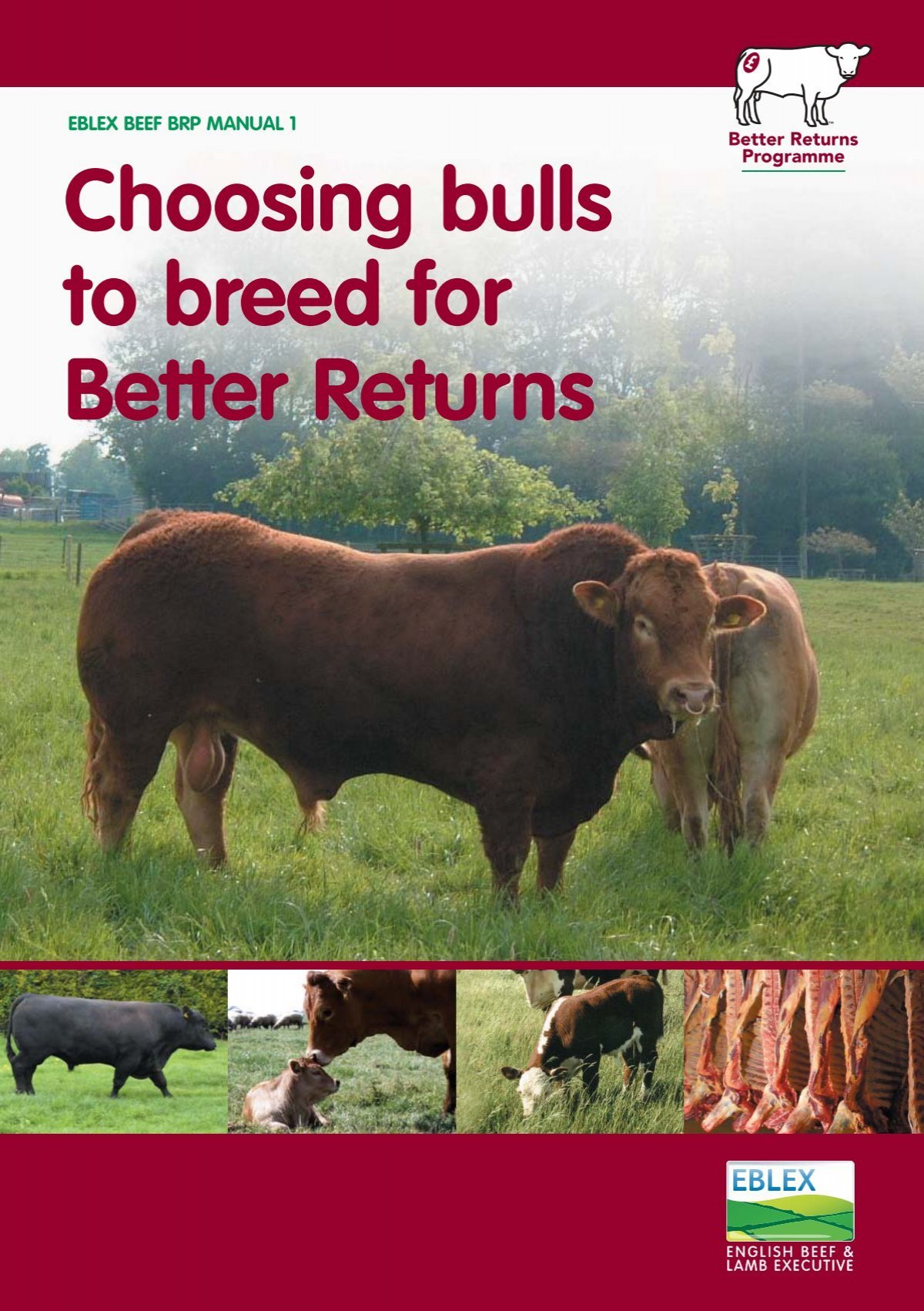 Manual 1 â Choosing bulls to breed for better returns - Eblex