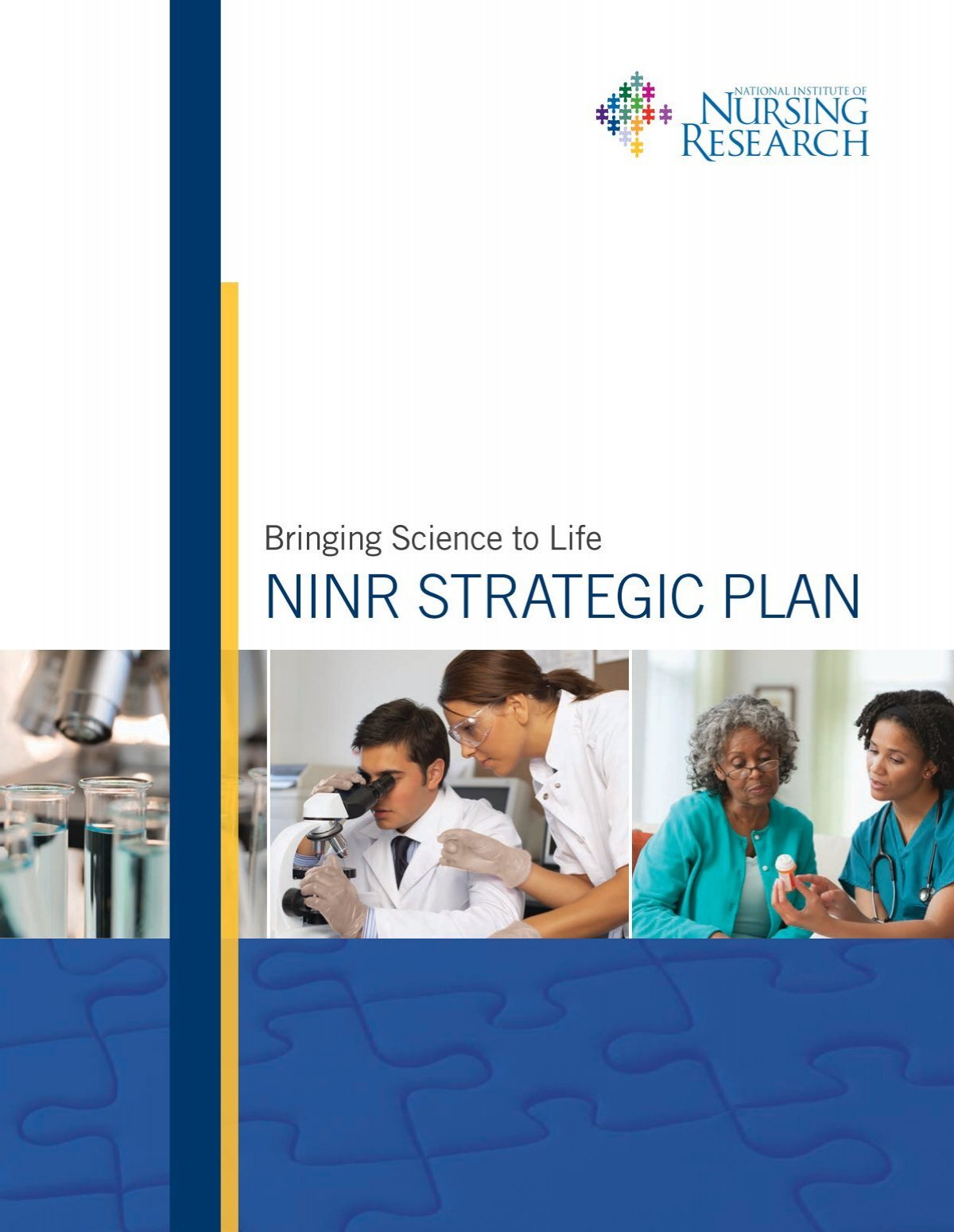 ninr research framework