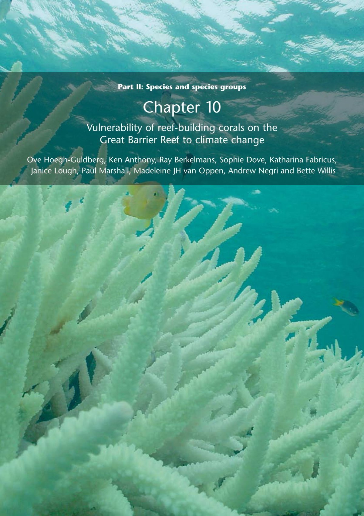 GBRMPA ELibrary: Coral bleaching risk and impact assessment plan: 2nd  edition (NOT CURRENT)