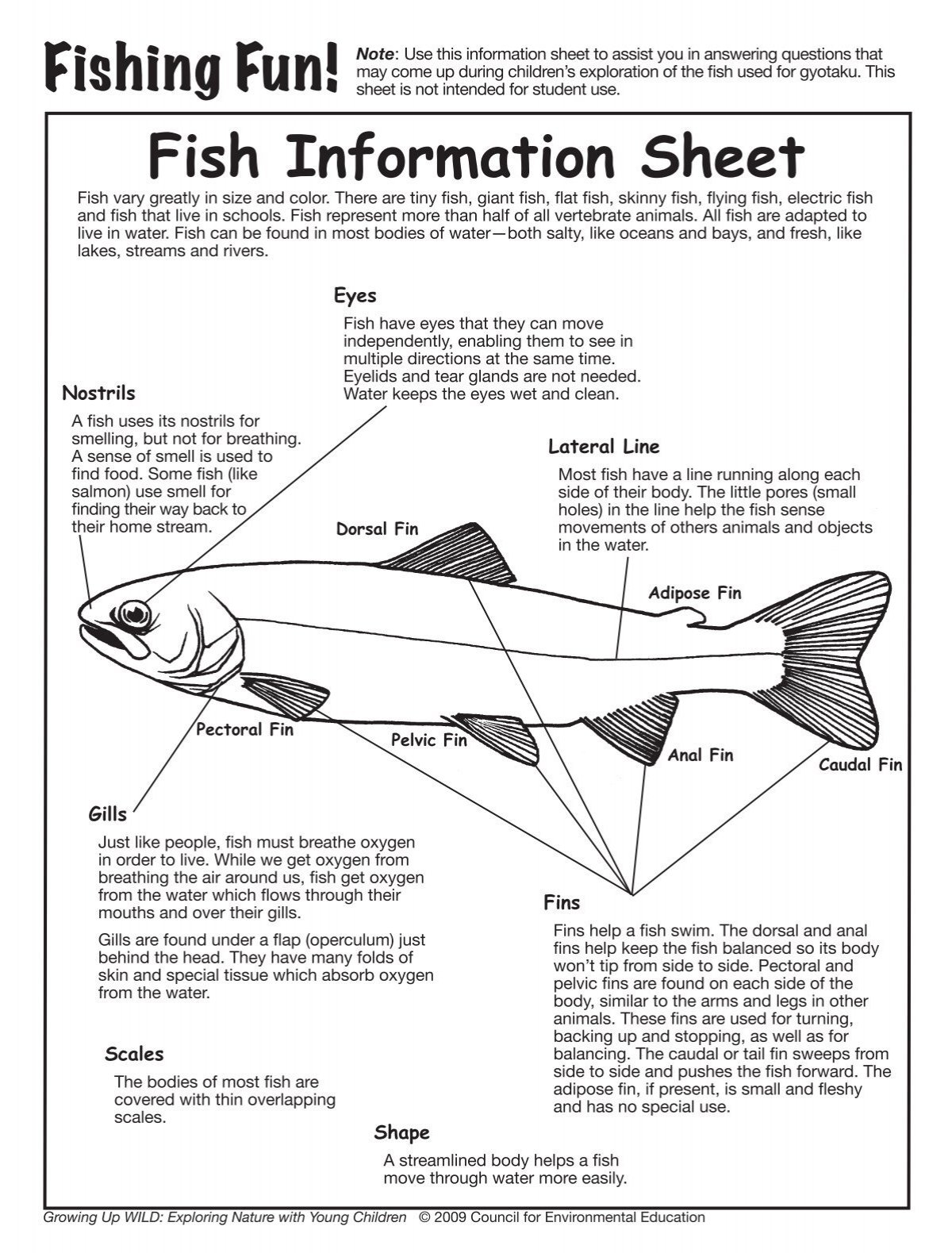 Basics on How To Fish with Detailed Information
