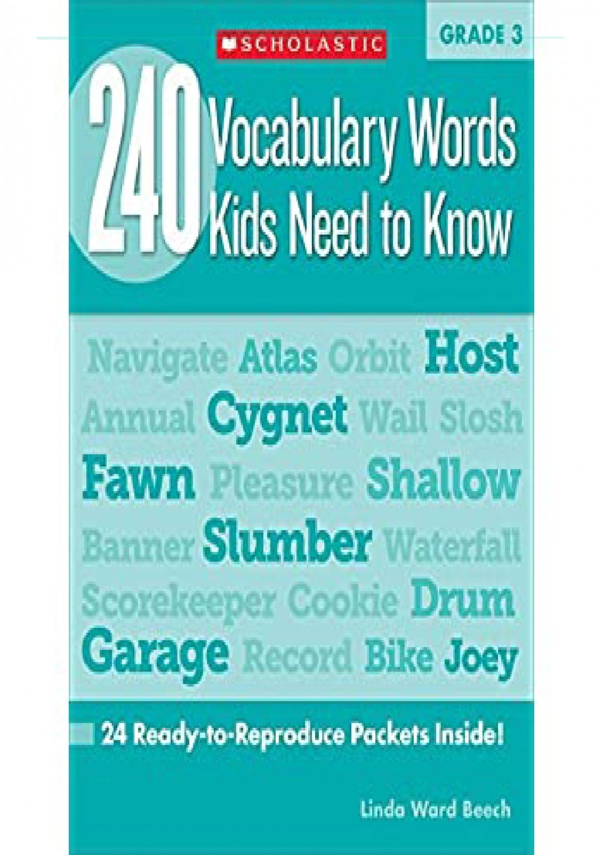 pdf-240-vocabulary-words-kids-need-to-know-grade-3-24-ready-to-reproduce-packets-that-make