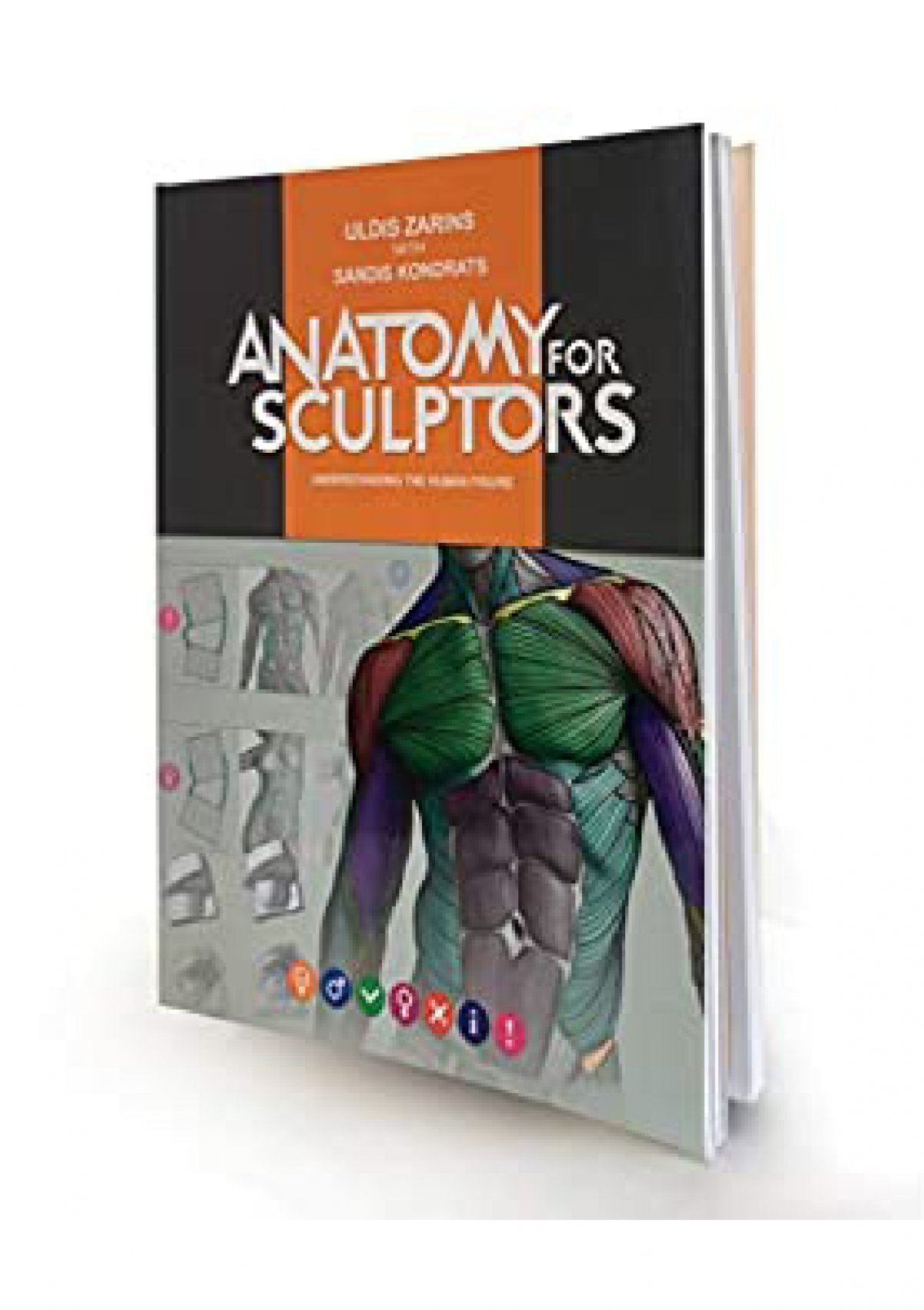 (EBOOK Anatomy for Sculptors Understanding the Human Figure DOWNLOAD @PDF