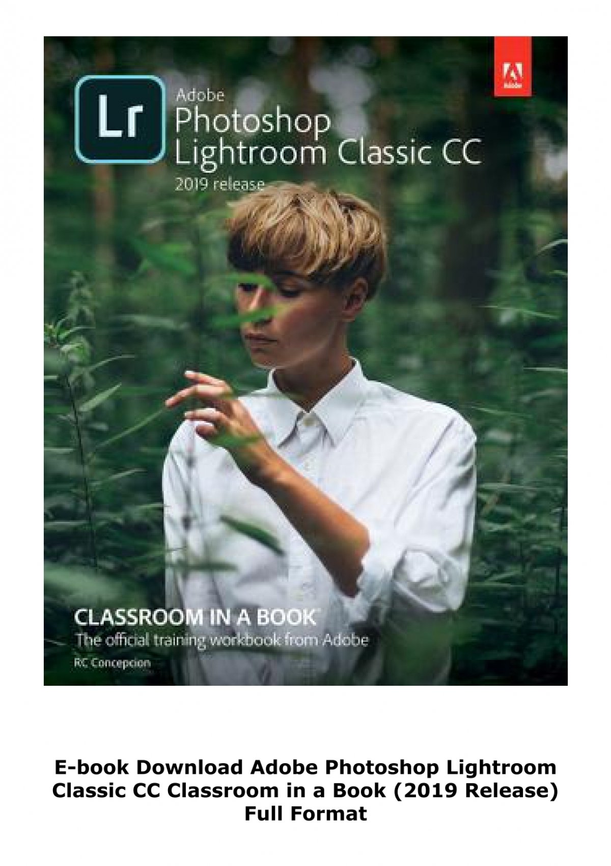 adobe photoshop cc classroom in a book 2019 download