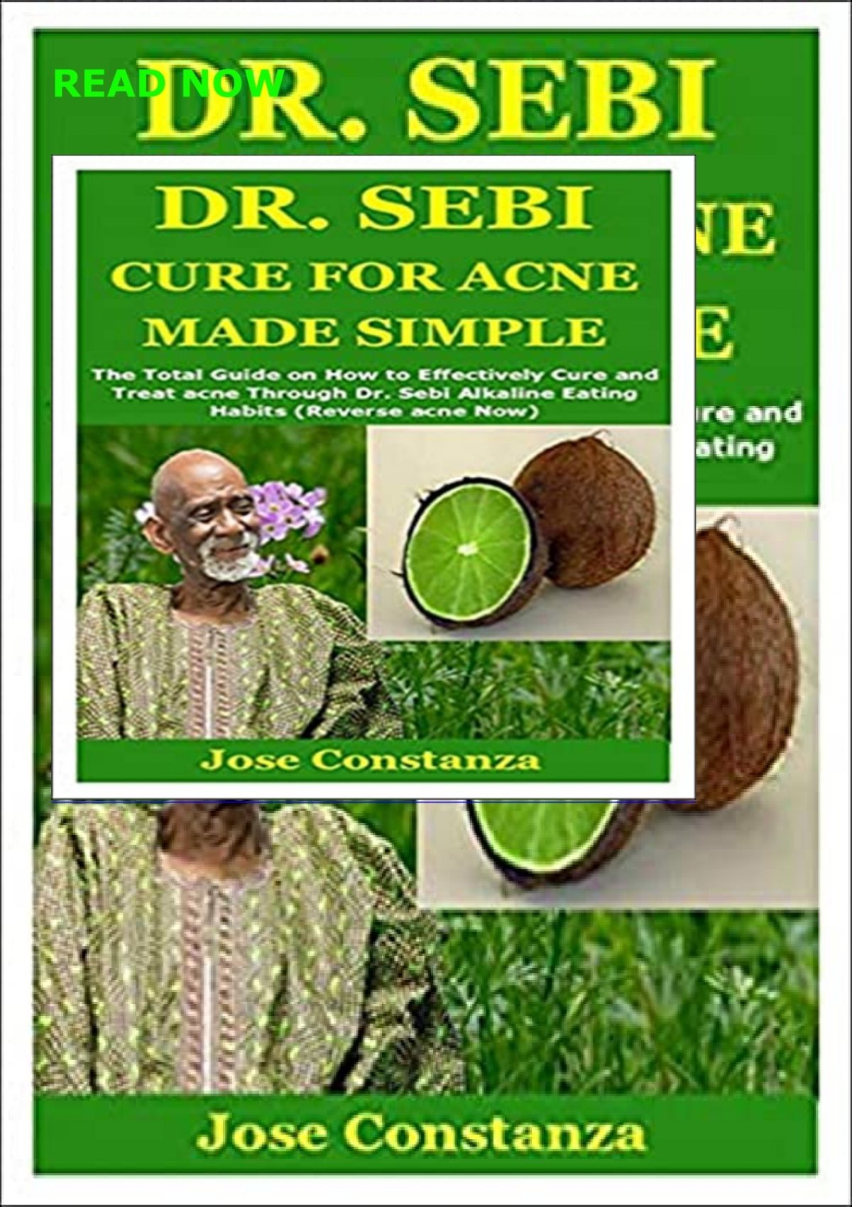 Download PDF DR SEBI CURE FOR ACNE MADE SIMPLE The Total Guide On How To Effectively Cure