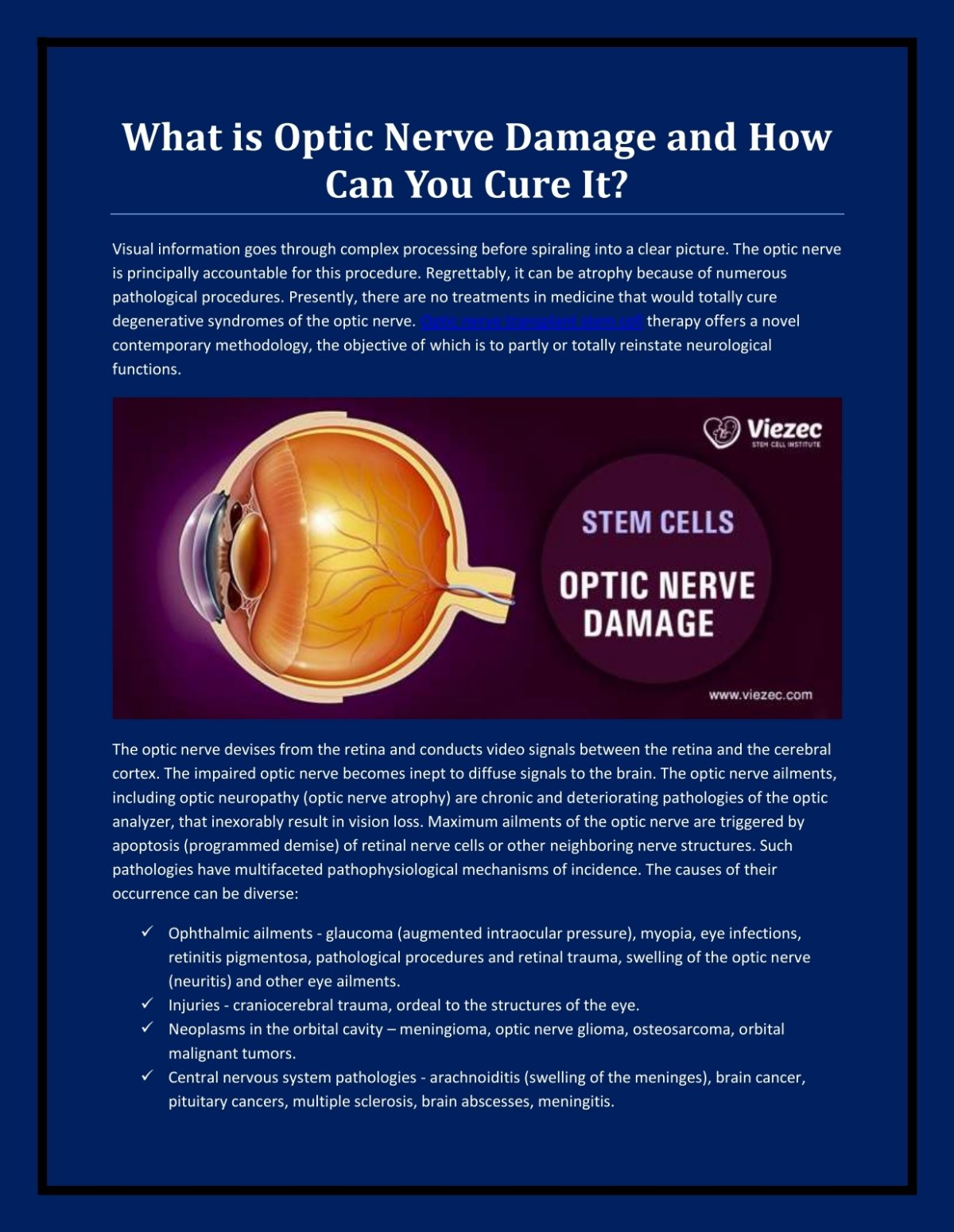 Can a damaged optic nerve be repaired?