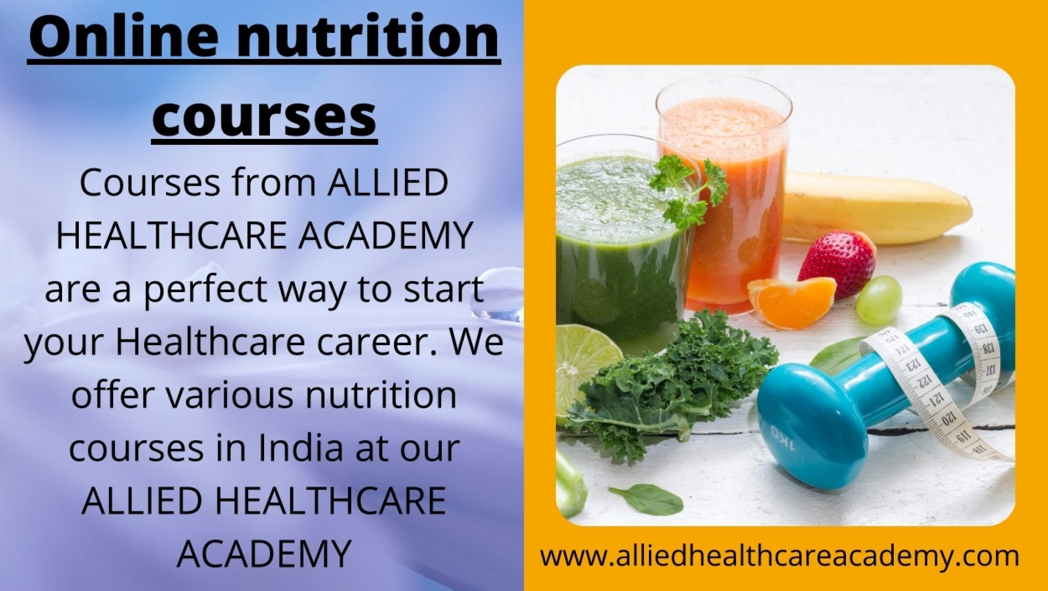 what is applied nutrition course