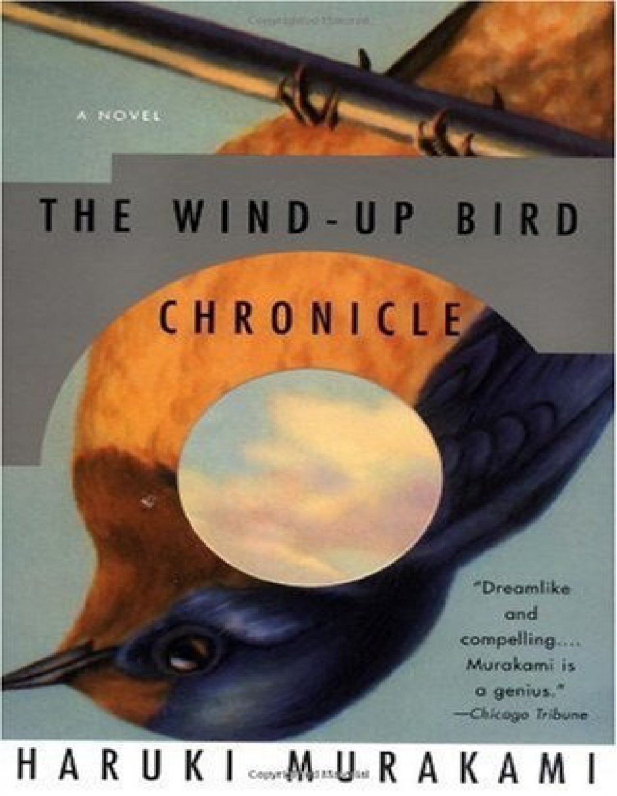 the wind up bird chronicle new york times book review