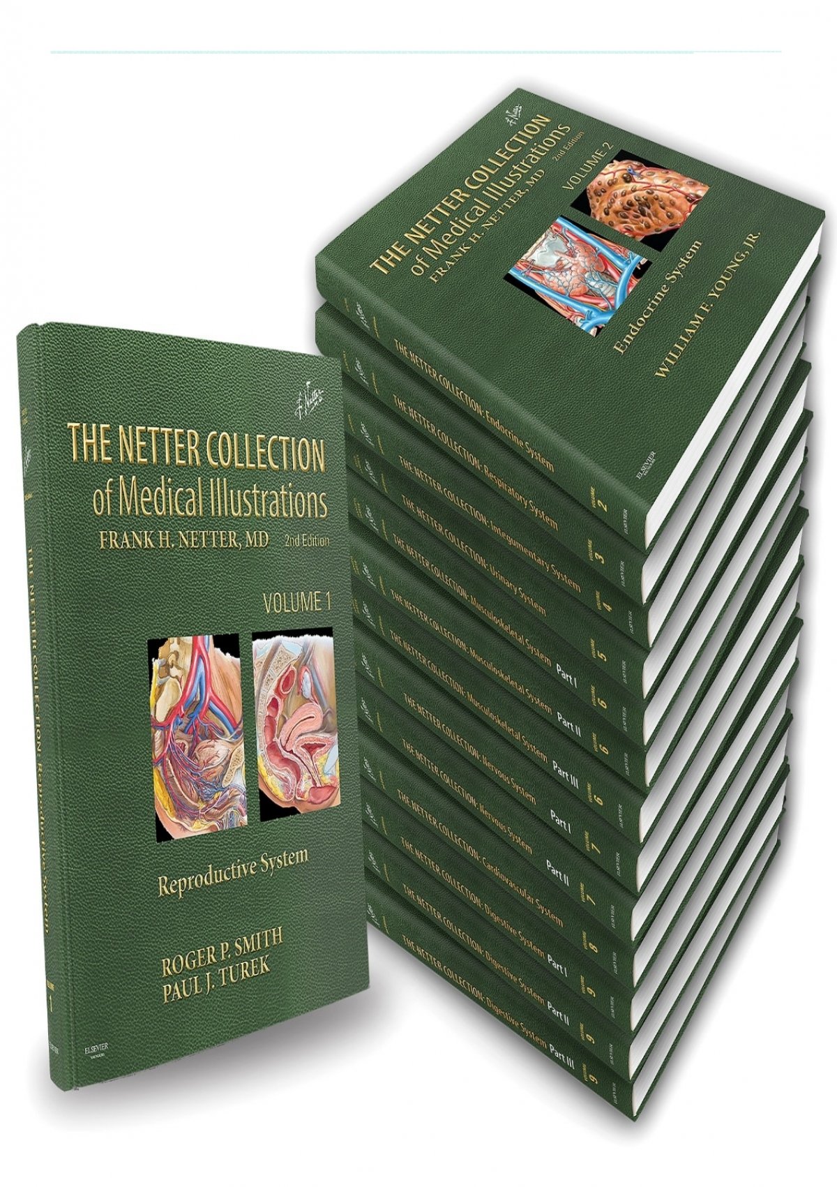 netter collection medical illustrations download