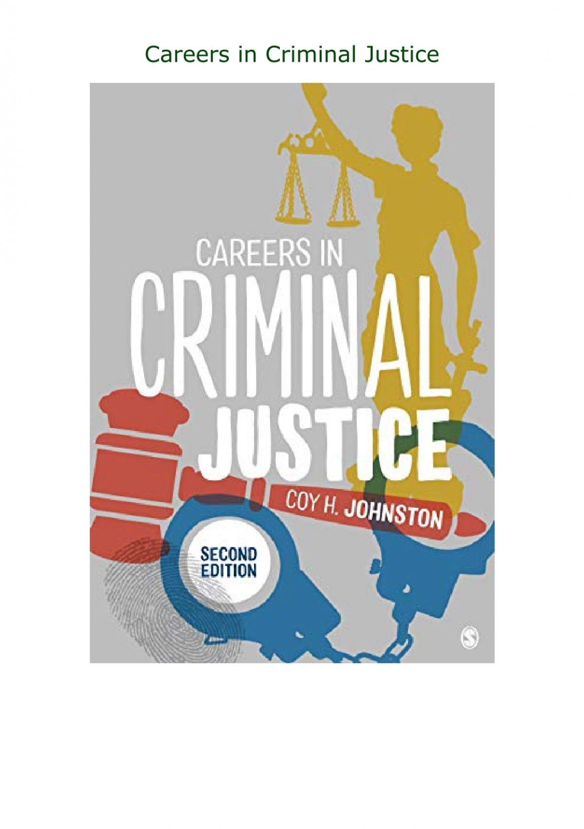 Pdf Careers In Criminal Justice