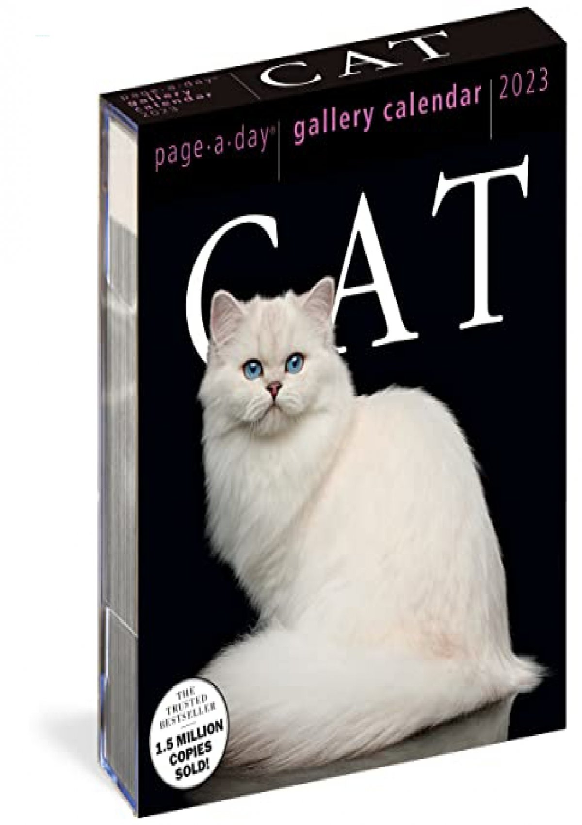 Cat-PageADay-Gallery-Calendar-2023