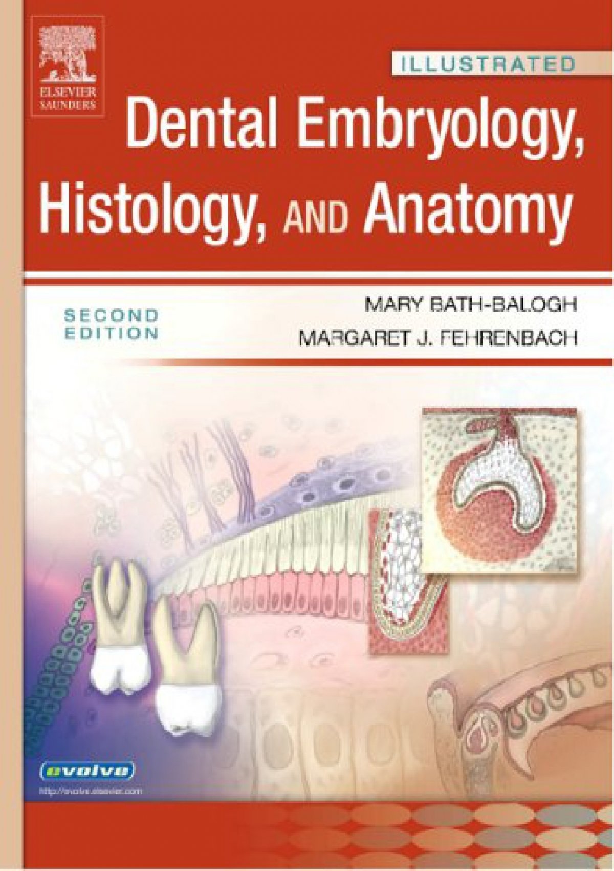 illustrated dental embryology histology and anatomy pdf free download