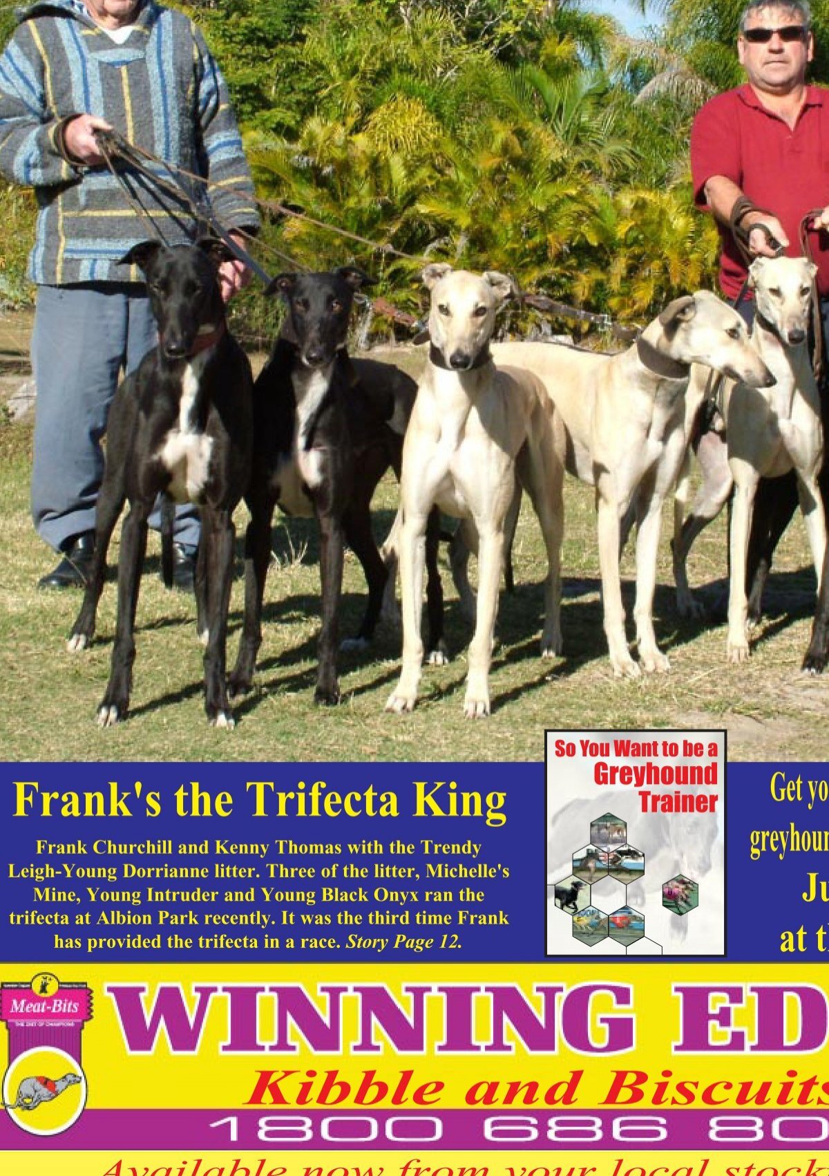 Most Common Trifecta Numbers For Greyhounds