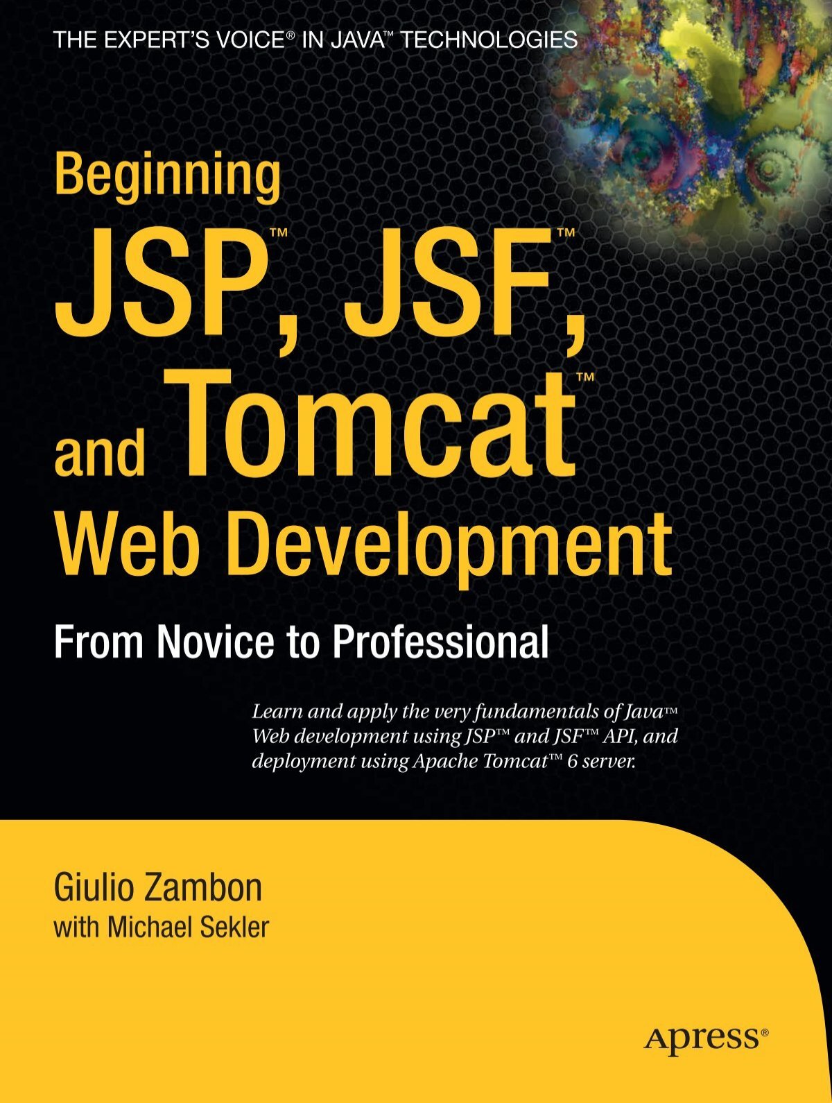 Beginning Jsp Jsf And Tomcat Web Development