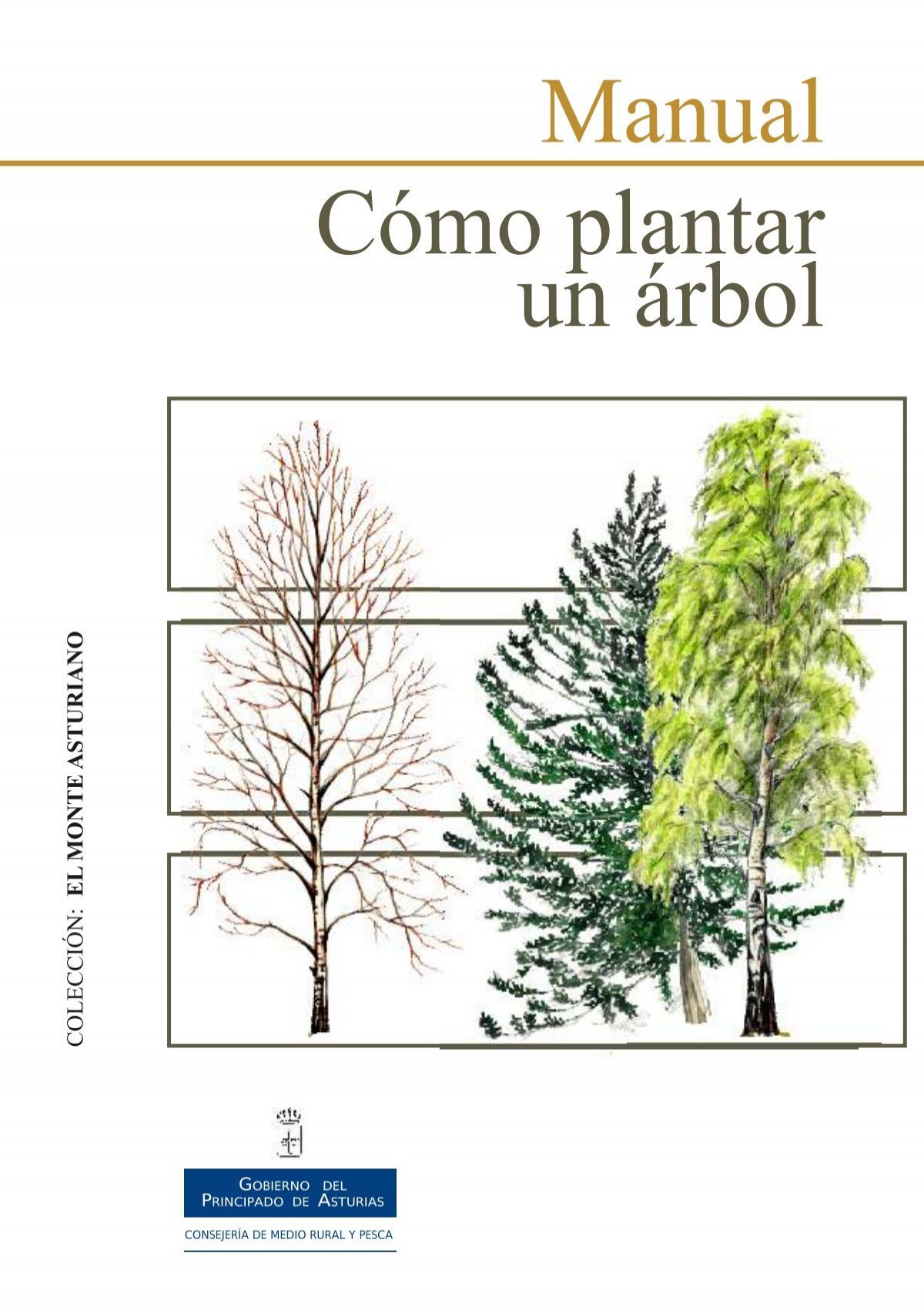Como plantar un árbol - Gobierno del principado de Asturias
