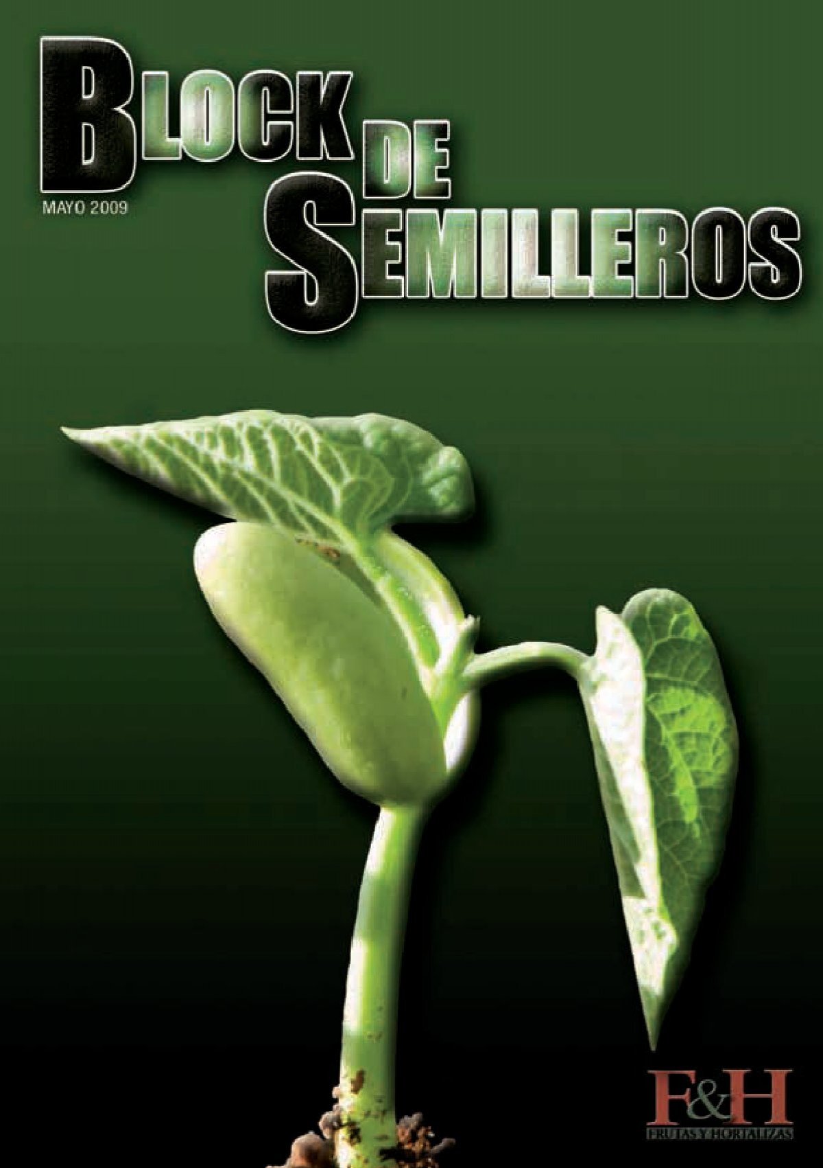 Cultivo convencional - Semillero Laimund S.L. - Plantas ornamentales y  plantones hortofrutícolas