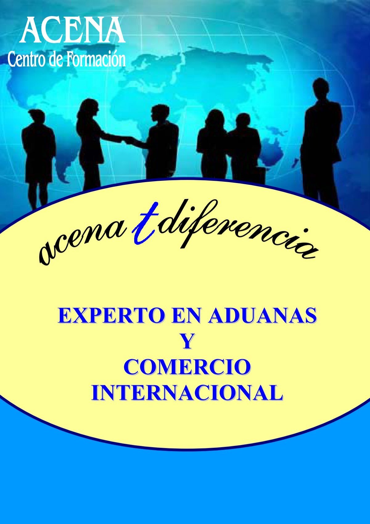 Experto En Aduanas Y Comercio Internacional 0109