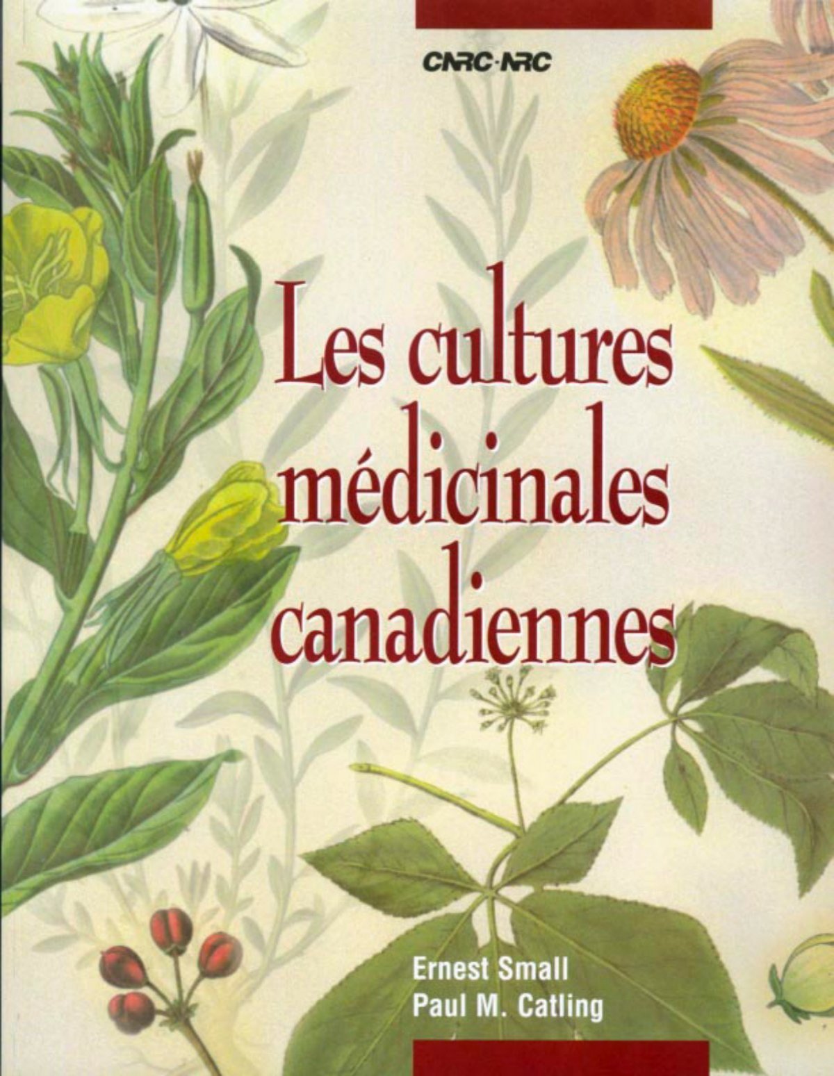 les cultures medicinales canadiennes moisson quebec
