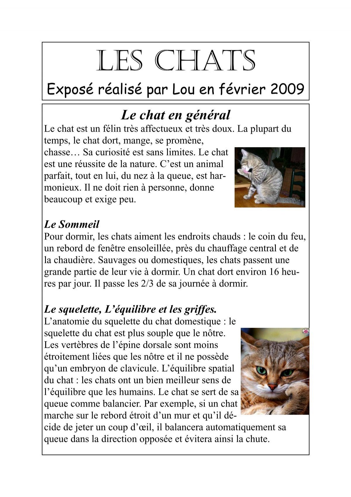 Lou Les Chats