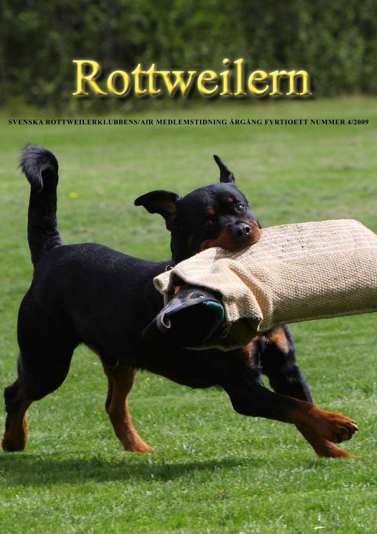 Tidningen Rottweilern nr 4 2009 - Svenska Rottweilerklubben / AfR